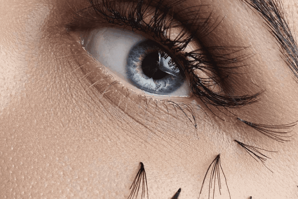 Lash Education: Eye Infections