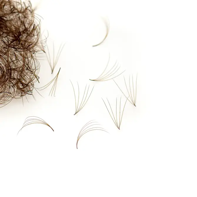 DARK BROWN Promade/Wispy Fans 3D - 9D | .07 | 500 fans | for WHOLESALE Pre-order